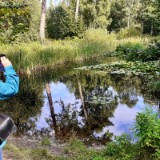 2209G 075 Schwarzwild Kellenhusen